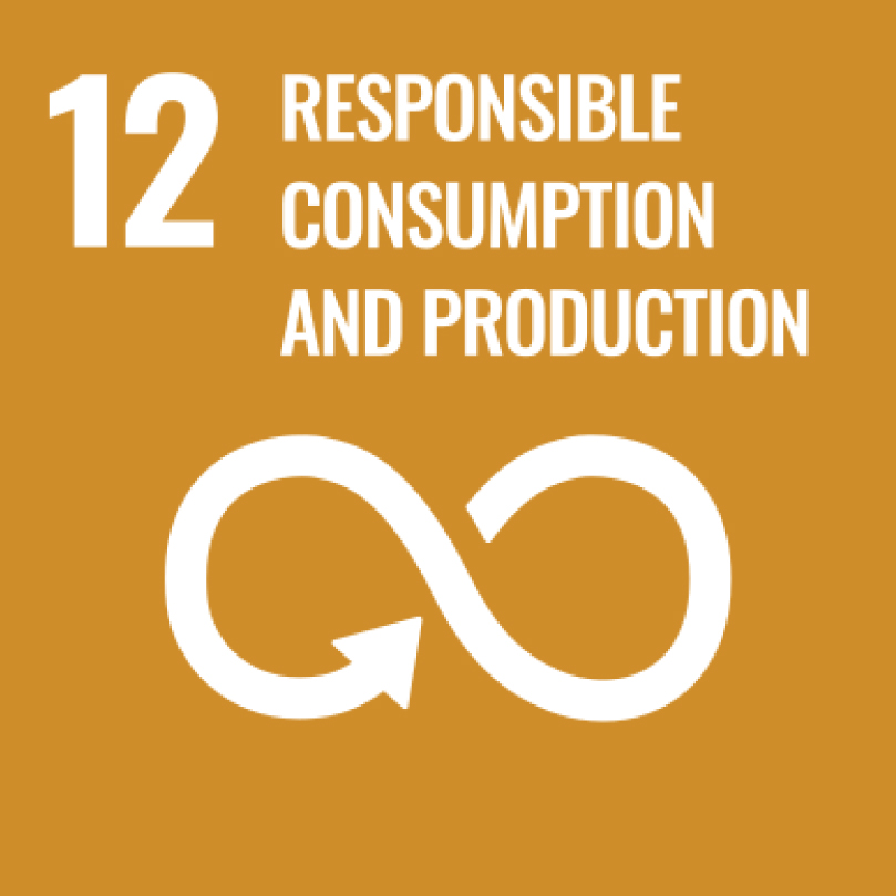 Sustainable_Development_Goals.svg-02